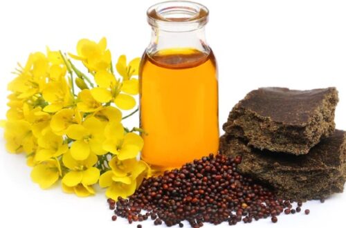 Truth about mustard oil - Lal gulab MustardOil Shreeparag
